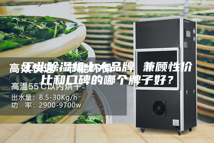 工業(yè)除濕機十大品牌 兼顧性價比和口碑的哪個牌子好？
