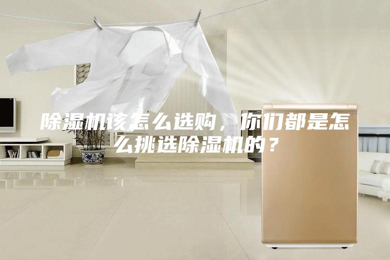 除濕機該怎么選購，你們都是怎么挑選除濕機的？