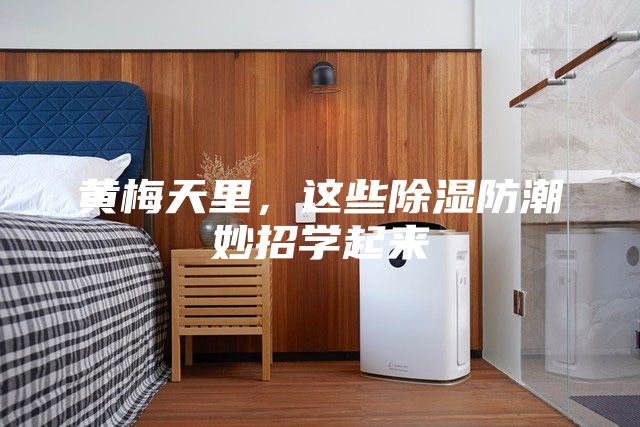 黃梅天里，這些除濕防潮妙招學起來
