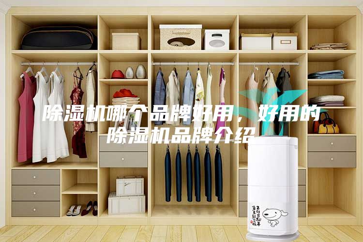 除濕機(jī)哪個(gè)品牌好用,好用的除濕機(jī)品牌介紹