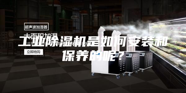 工業除濕機是如何安裝和保養的呢？