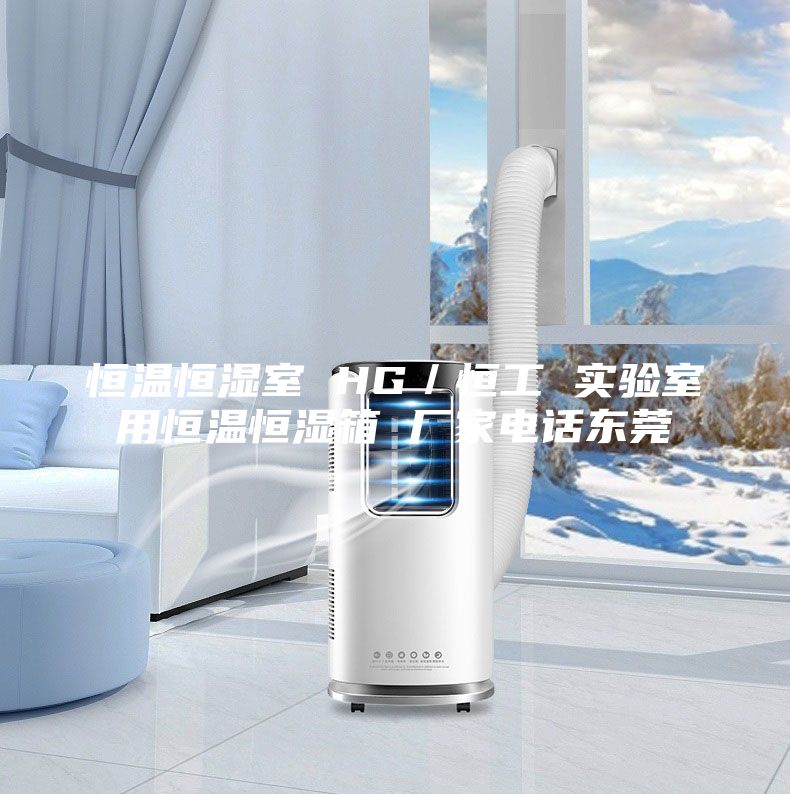 恒溫恒濕室 HG／恒工 實(shí)驗室用恒溫恒濕箱 廠家電話東莞