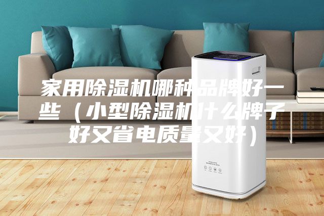 家用除濕機哪種品牌好一些（小型除濕機什么牌子好又省電質(zhì)量又好）