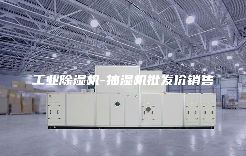 工業(yè)除濕機(jī)-抽濕機(jī)批發(fā)價銷售