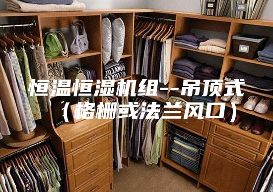 恒溫恒濕機(jī)組--吊頂式（格柵或法蘭風(fēng)口）