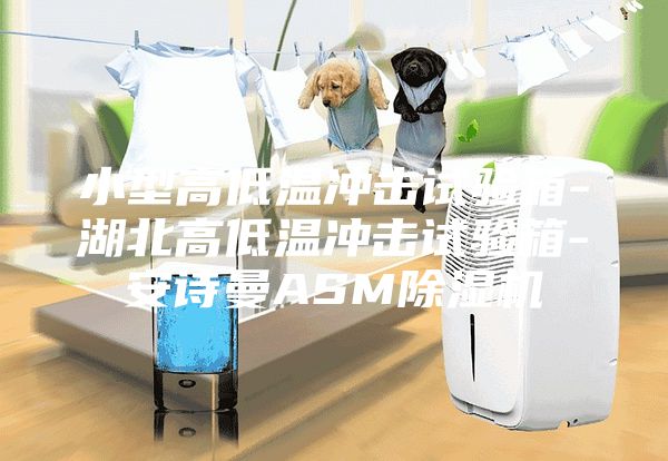 小型高低溫沖擊試驗(yàn)箱-湖北高低溫沖擊試驗(yàn)箱-安詩(shī)曼ASM除濕機(jī)