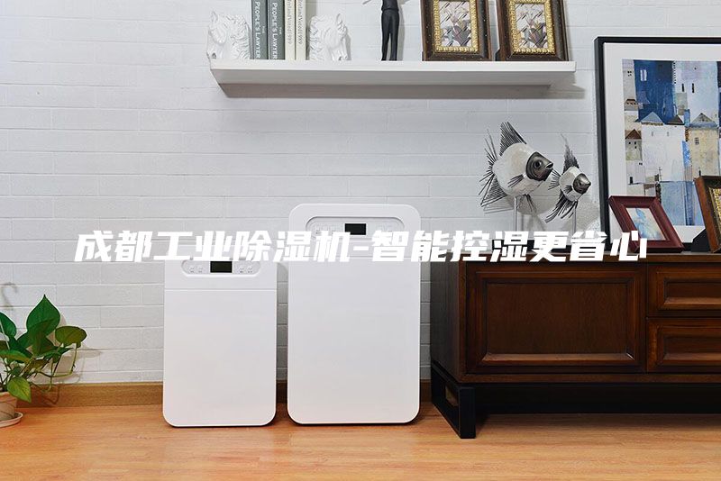 成都工業(yè)除濕機(jī)-智能控濕更省心