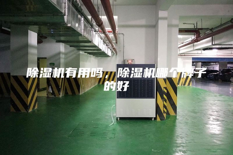 除濕機有用嗎，除濕機哪個牌子的好