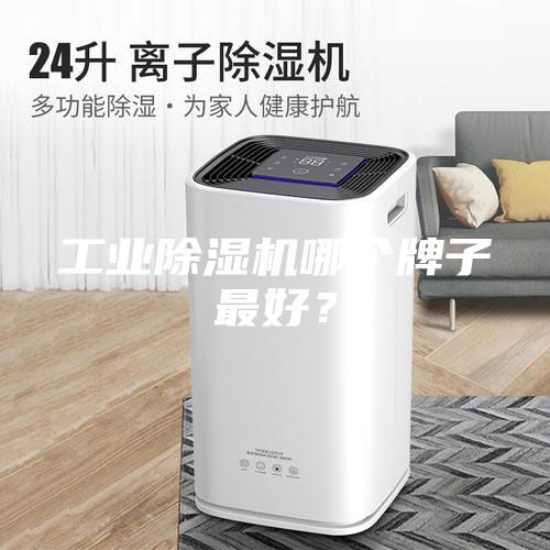 工業除濕機哪個牌子最好？