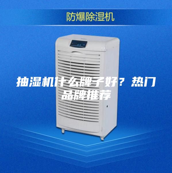 抽濕機(jī)什么牌子好?熱門品牌推薦