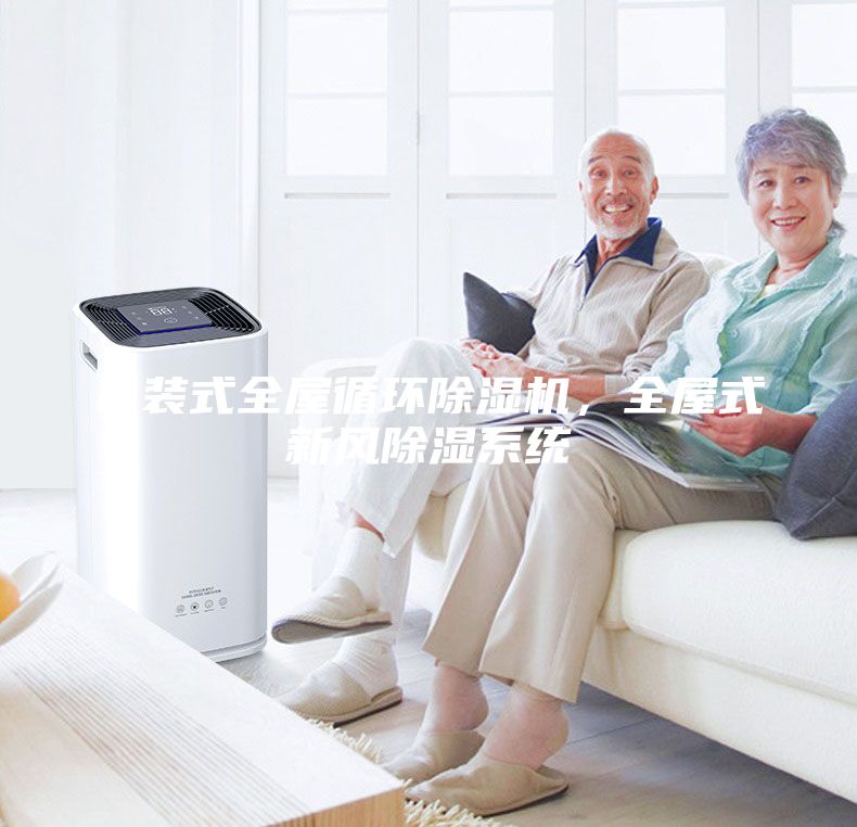 吊裝式全屋循環(huán)除濕機，全屋式新風除濕系統(tǒng)