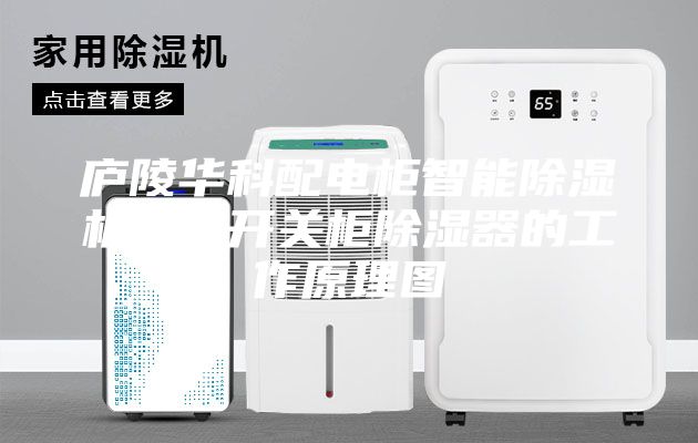 廬陵華科配電柜智能除濕機裝置開關(guān)柜除濕器的工作原理圖