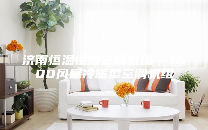濟(jì)南恒溫恒濕空調(diào)機組  1500風(fēng)量冷暖型空調(diào)機組