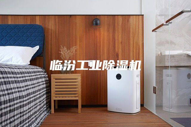 臨汾工業除濕機