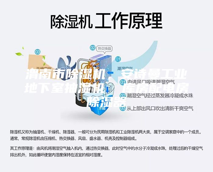 渭南市除濕機(jī),安詩曼工業(yè)地下室抽濕機(jī) 庫房配電房除濕器