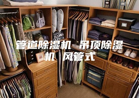 管道除濕機(jī) 吊頂除濕機(jī) 風(fēng)管式