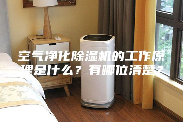 空氣凈化除濕機(jī)的工作原理是什么？有哪位清楚？