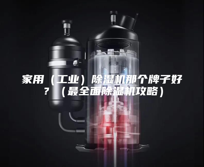 家用（工業(yè)）除濕機那個牌子好？（最全面除濕機攻略）