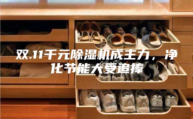 雙.11千元除濕機成主力，凈化節能大受追捧