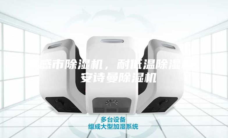 孝感市除濕機(jī)，耐低溫除濕機(jī)  安詩曼除濕機(jī)