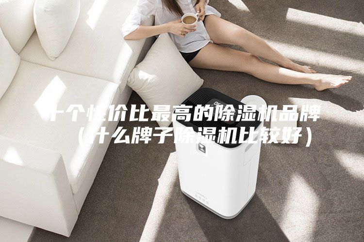十個性價比最高的除濕機品牌（什么牌子除濕機比較好）