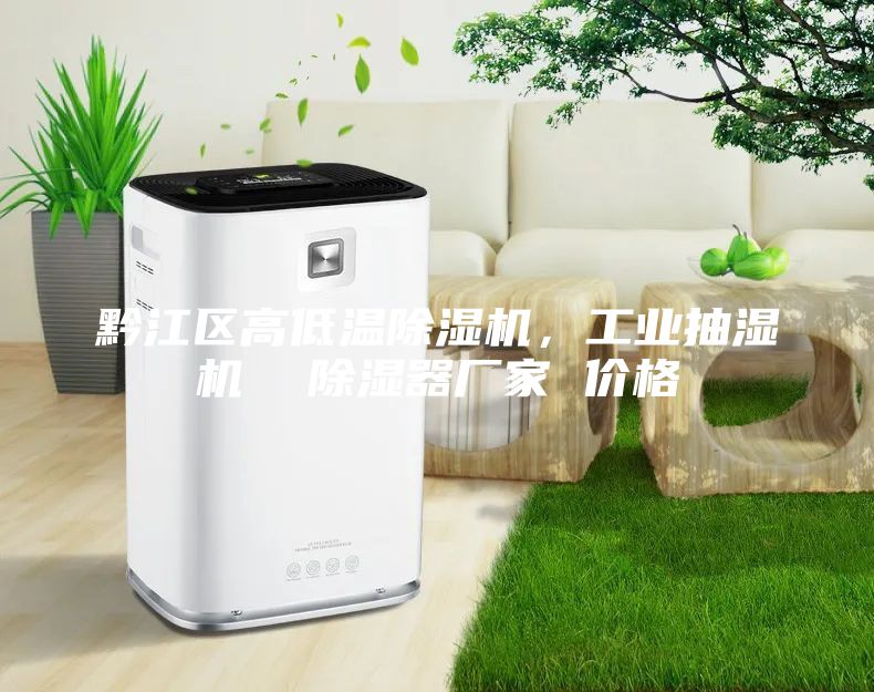 黔江區(qū)高低溫除濕機(jī)，工業(yè)抽濕機(jī)  除濕器廠家 價(jià)格