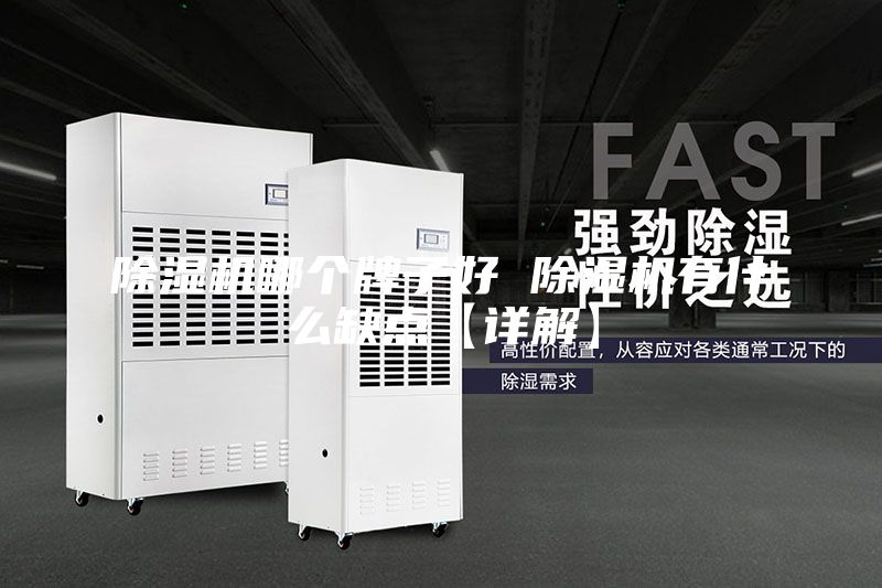 除濕機哪個牌子好 除濕機有什么缺點【詳解】