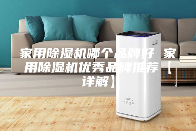 家用除濕機哪個品牌好 家用除濕機優秀品牌推薦【詳解】