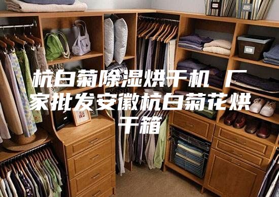 杭白菊除濕烘干機 廠家批發(fā)安徽杭白菊花烘干箱