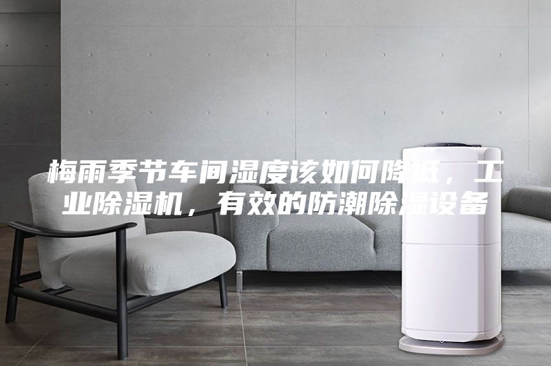 梅雨季節(jié)車間濕度該如何降低,工業(yè)除濕機(jī),有效的防潮除濕設(shè)備