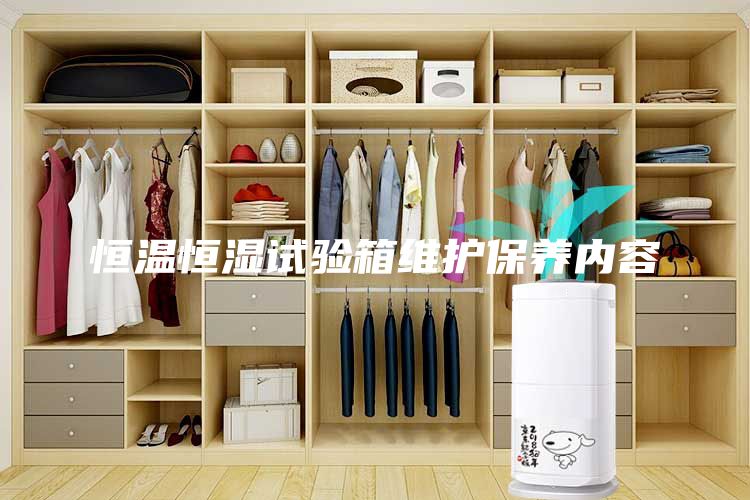 恒溫恒濕試驗(yàn)箱維護(hù)保養(yǎng)內(nèi)容