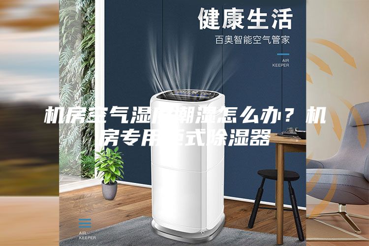 機房空氣濕度潮濕怎么辦？機房專用柜式除濕器