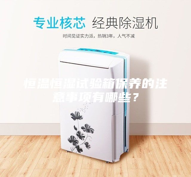 恒溫恒濕試驗箱保養(yǎng)的注意事項有哪些？