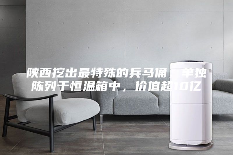 陜西挖出最特殊的兵馬俑，單獨陳列于恒溫箱中，價值超10億