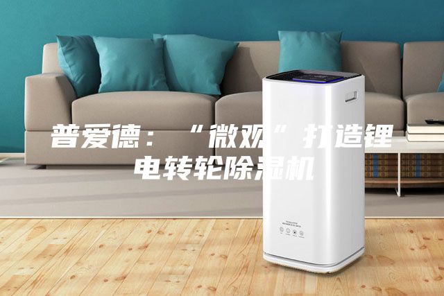 普愛(ài)德：“微觀”打造鋰電轉(zhuǎn)輪除濕機(jī)