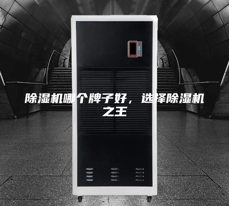 除濕機哪個牌子好，選擇除濕機之王