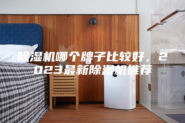 除濕機哪個牌子比較好,2023最新除濕機推薦