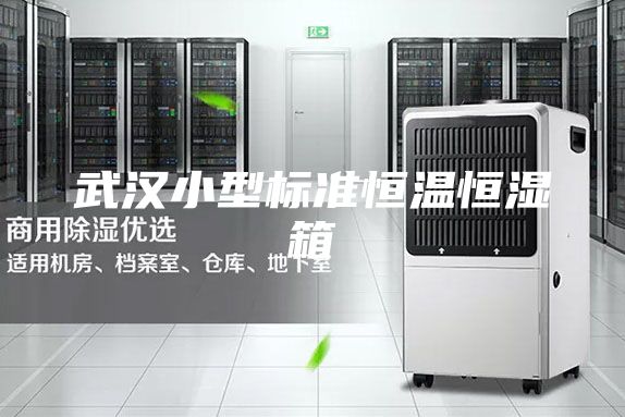 武漢小型標準恒溫恒濕箱