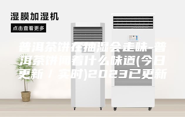 普洱茶餅在抽濕會走味-普洱茶餅聞著什么味道(今日更新／實時)2023已更新