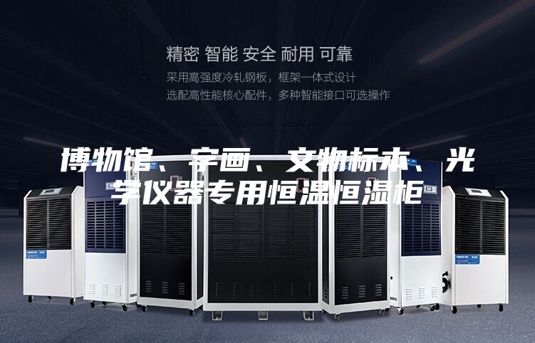 博物館、字畫、文物標(biāo)本、光學(xué)儀器專用恒溫恒濕柜