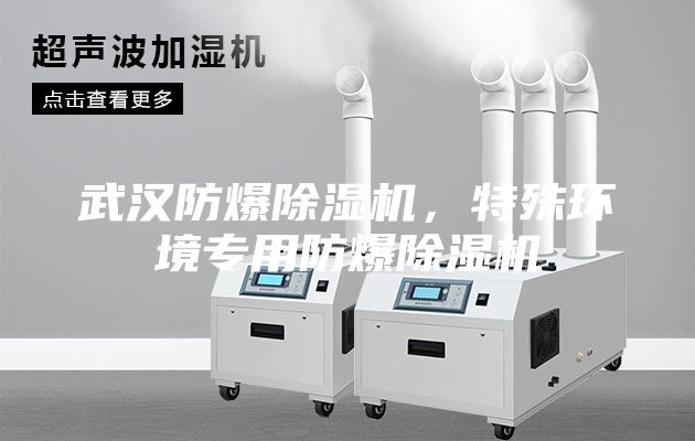 武漢防爆除濕機(jī)，特殊環(huán)境專用防爆除濕機(jī)