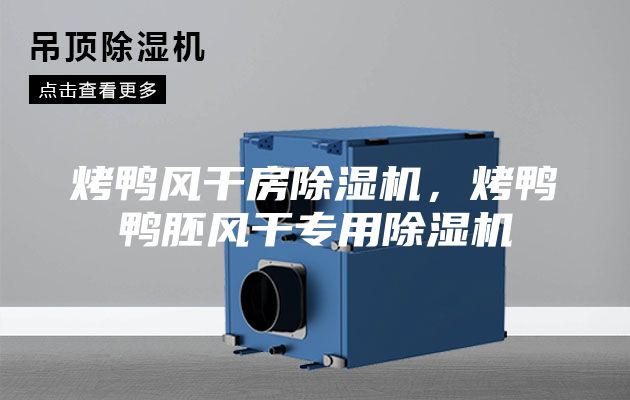 烤鴨風干房除濕機，烤鴨鴨胚風干專用除濕機