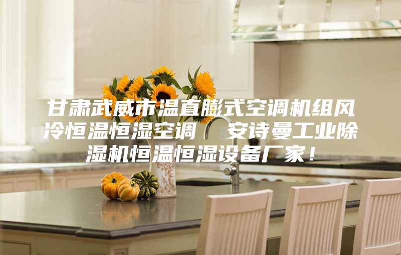 甘肅武威市溫直膨式空調(diào)機組風(fēng)冷恒溫恒濕空調(diào)  安詩曼工業(yè)除濕機恒溫恒濕設(shè)備廠家！
