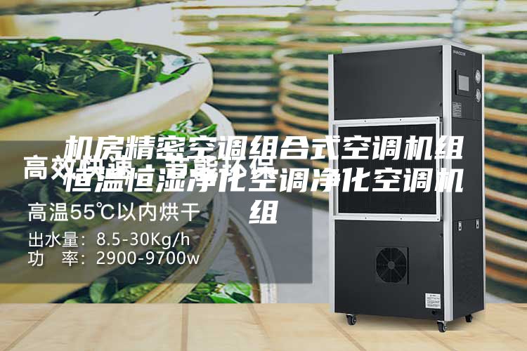 機房精密空調(diào)組合式空調(diào)機組恒溫恒濕凈化空調(diào)凈化空調(diào)機組