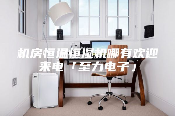 機(jī)房恒溫恒濕機(jī)哪有歡迎來電「至力電子」