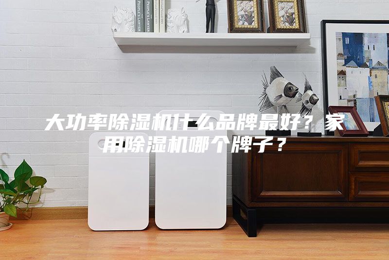大功率除濕機(jī)什么品牌最好？家用除濕機(jī)哪個(gè)牌子？