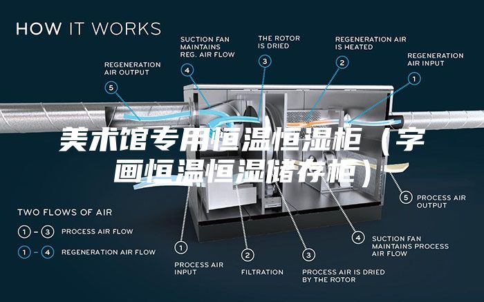 美術(shù)館專用恒溫恒濕柜(字畫恒溫恒濕儲存柜)