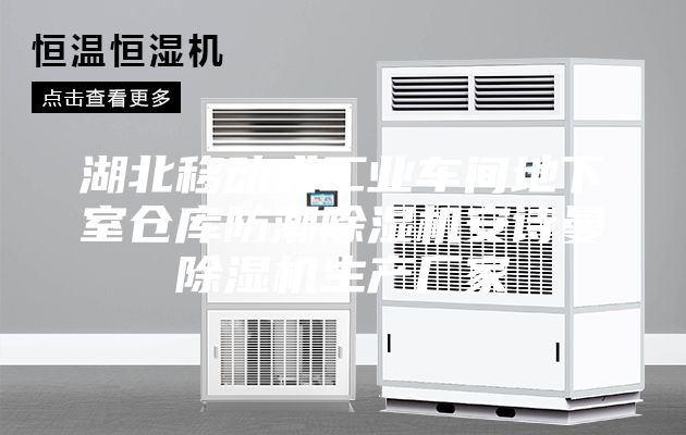 湖北移動(dòng)式工業(yè)車間地下室倉(cāng)庫(kù)防潮除濕機(jī)安詩(shī)曼除濕機(jī)生產(chǎn)廠家