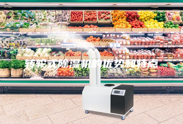 轉(zhuǎn)輪式除濕機的優(yōu)勢和特點