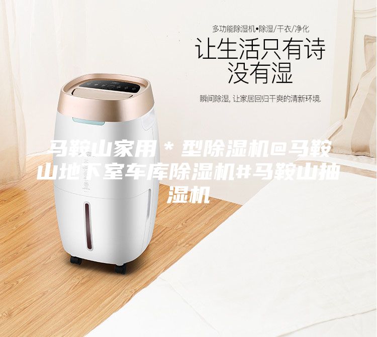 馬鞍山家用*型除濕機(jī)@馬鞍山地下室車庫除濕機(jī)#馬鞍山抽濕機(jī)
